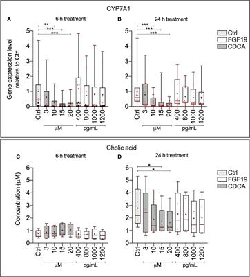 Chenodeoxycholic Acid Modulates Bile Acid Synthesis Independent of Fibroblast Growth Factor 19 in Primary Human Hepatocytes